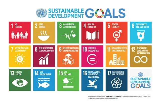 Transformative goals for inclusive progress: the Sustainable Development Goals 